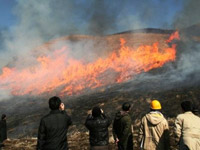 FAOによる現地審査で野焼きの見学風景画像